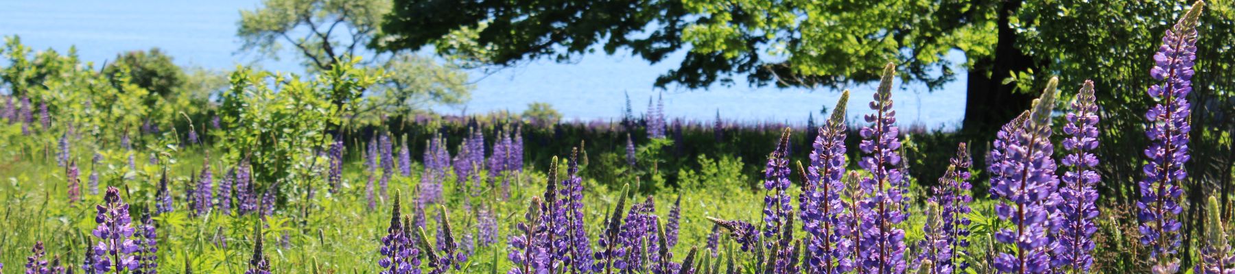 hanley-center-for-health-leadership-and-education