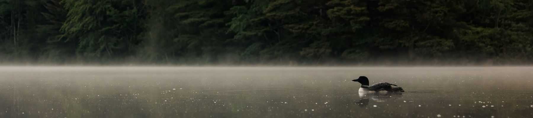 legal-services-for-members