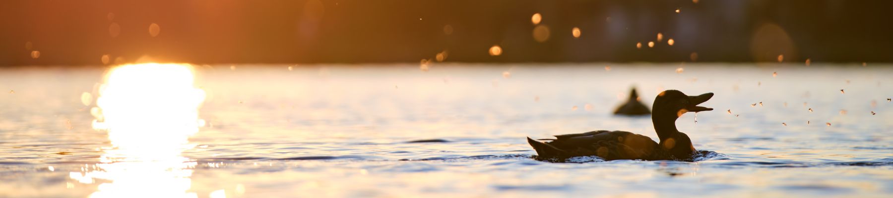 medical-student-financial-aid