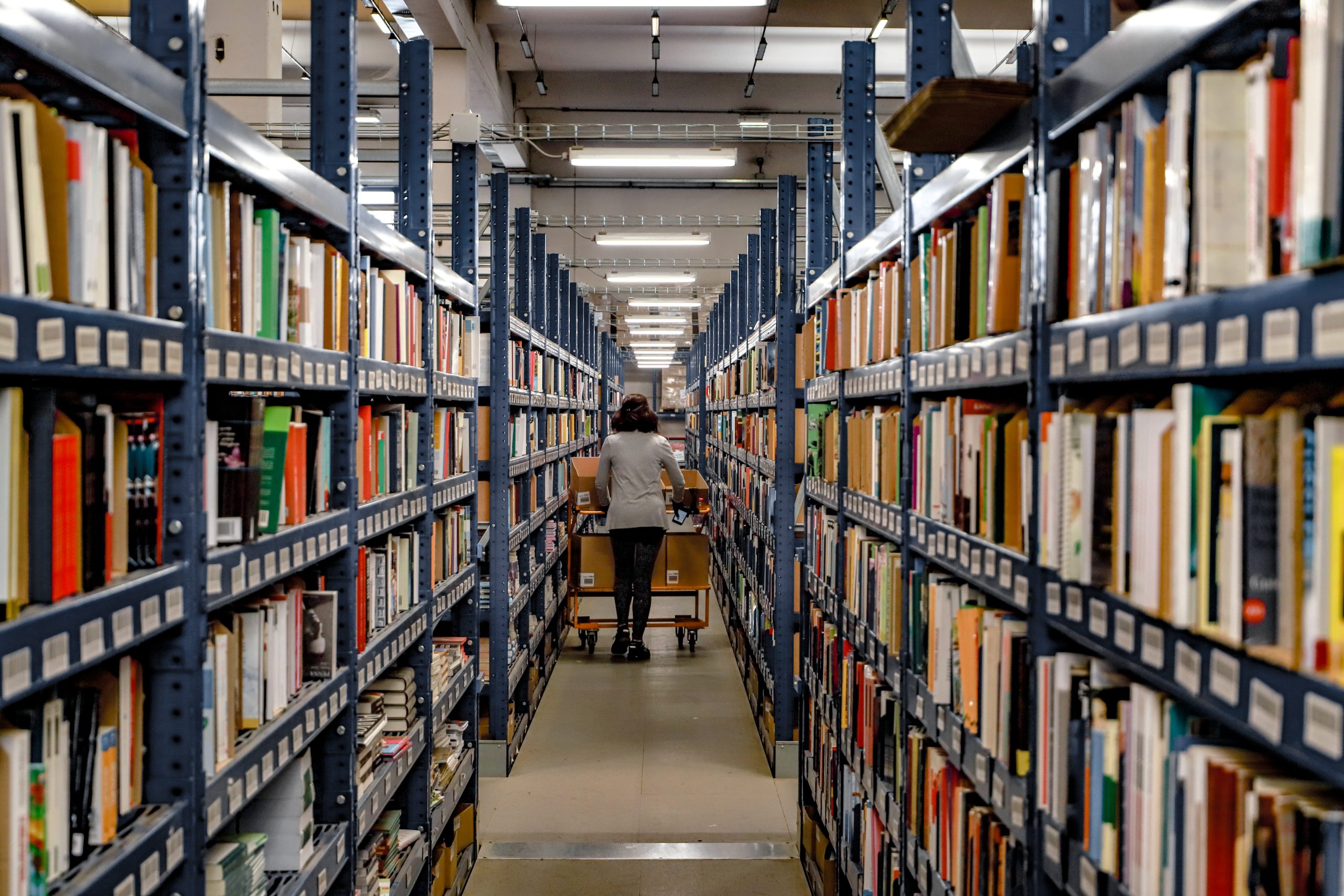 shelving-inside-a-logistics-warehouse-for-book-sto-2023-11-27-05-03-21-utc